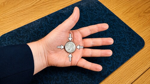 Classic Coin Palm